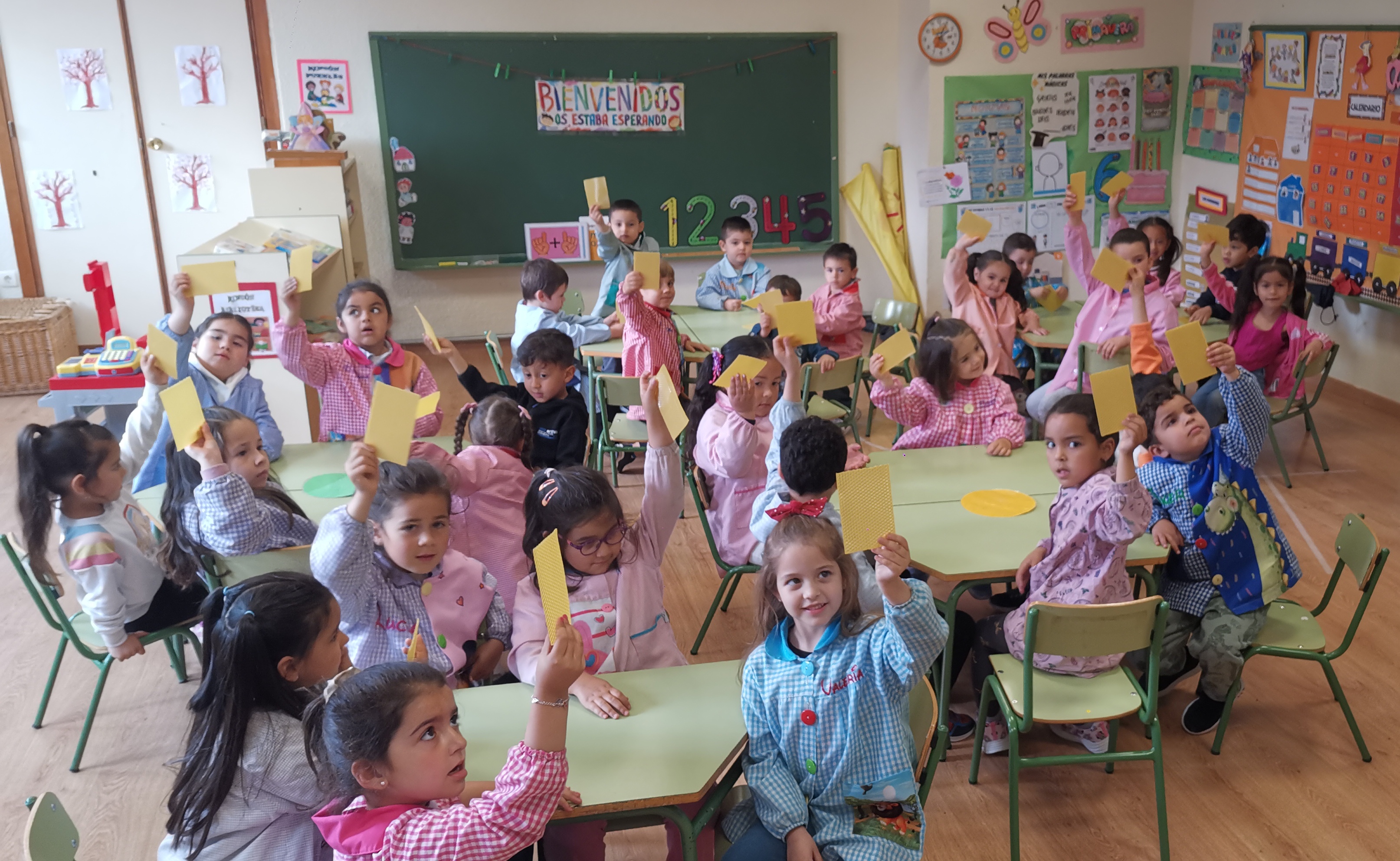 taller vela